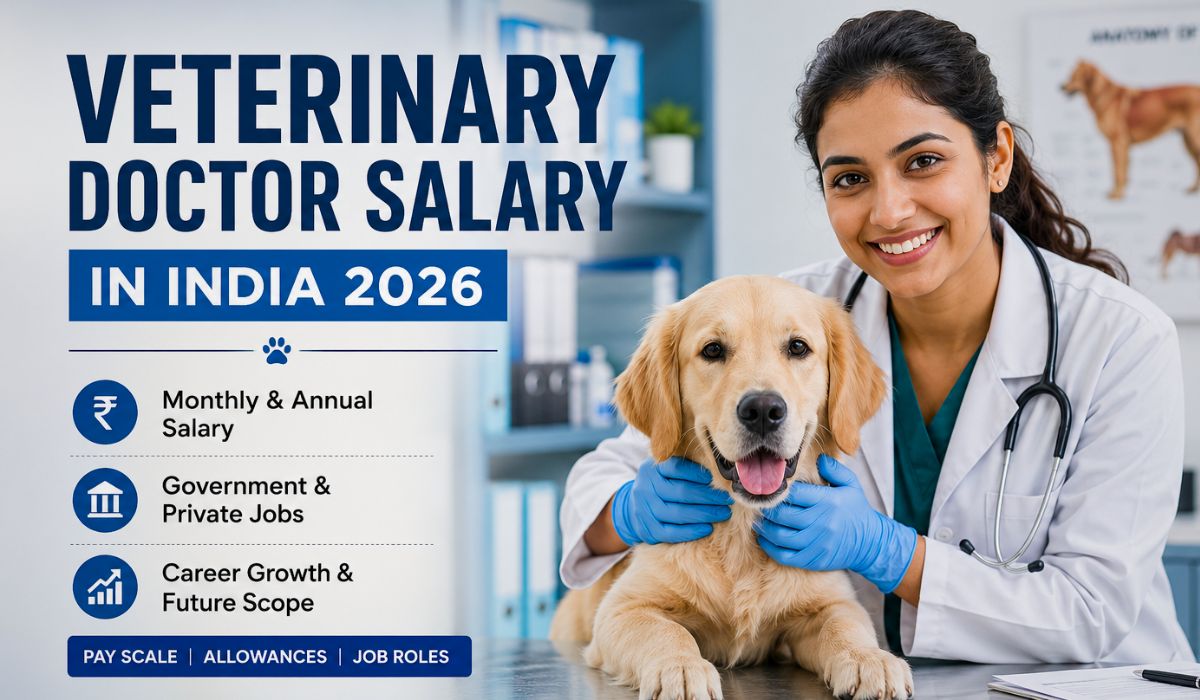Veterinary Doctor Salary: Government & Private Vet Doctor